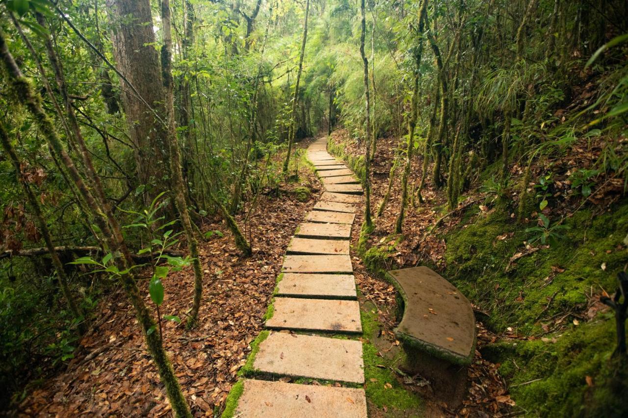 Dantica Cloud Forest Lodge Сан-Херардо-де-Дота Экстерьер фото