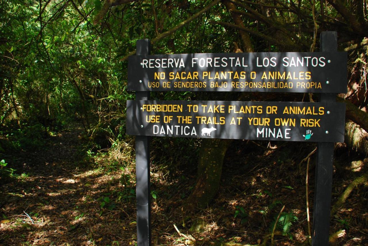 Dantica Cloud Forest Lodge Сан-Херардо-де-Дота Экстерьер фото