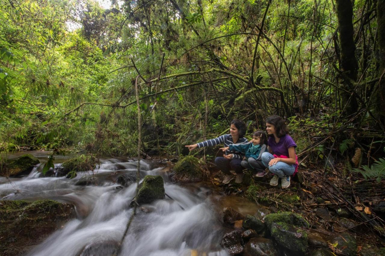 Dantica Cloud Forest Lodge Сан-Херардо-де-Дота Экстерьер фото