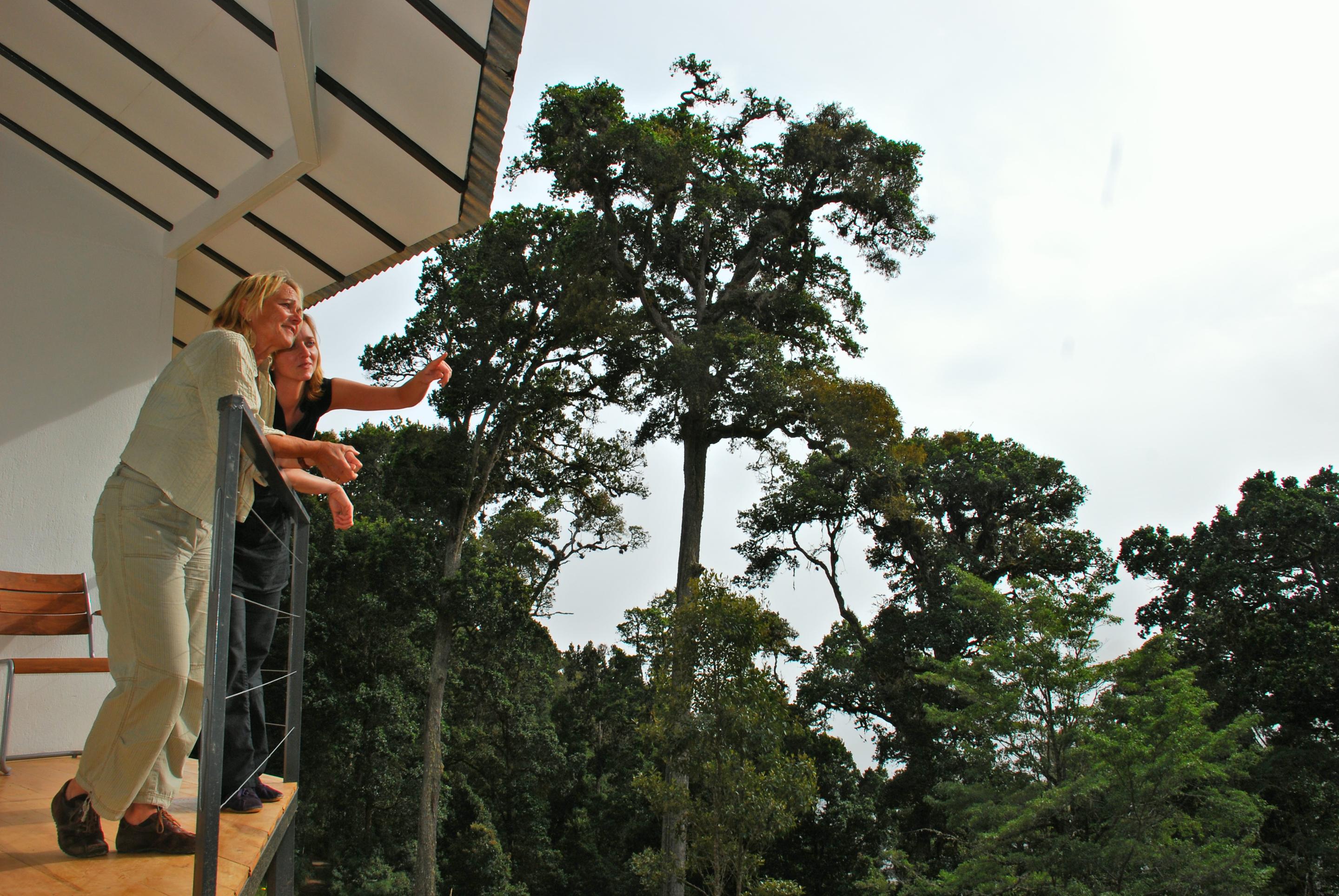 Dantica Cloud Forest Lodge Сан-Херардо-де-Дота Экстерьер фото