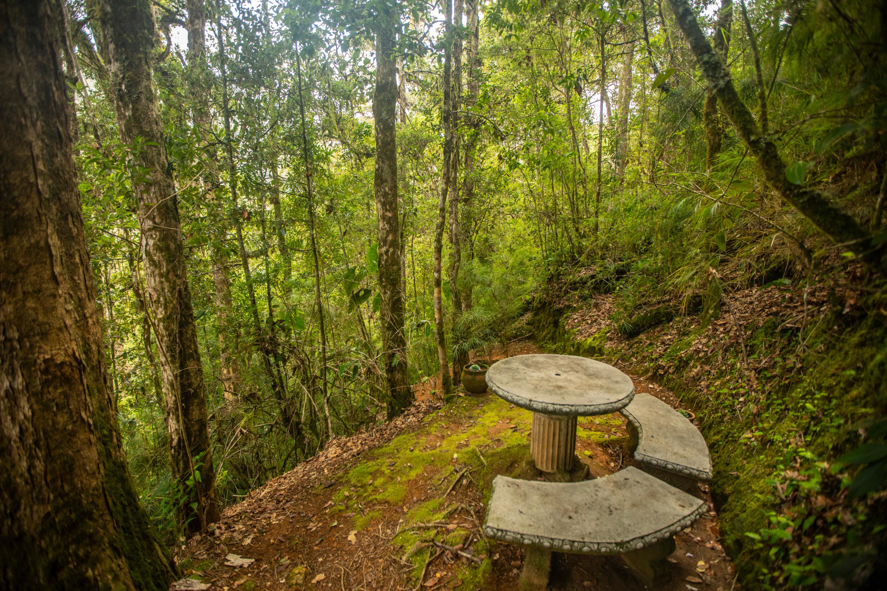 Dantica Cloud Forest Lodge Сан-Херардо-де-Дота Экстерьер фото