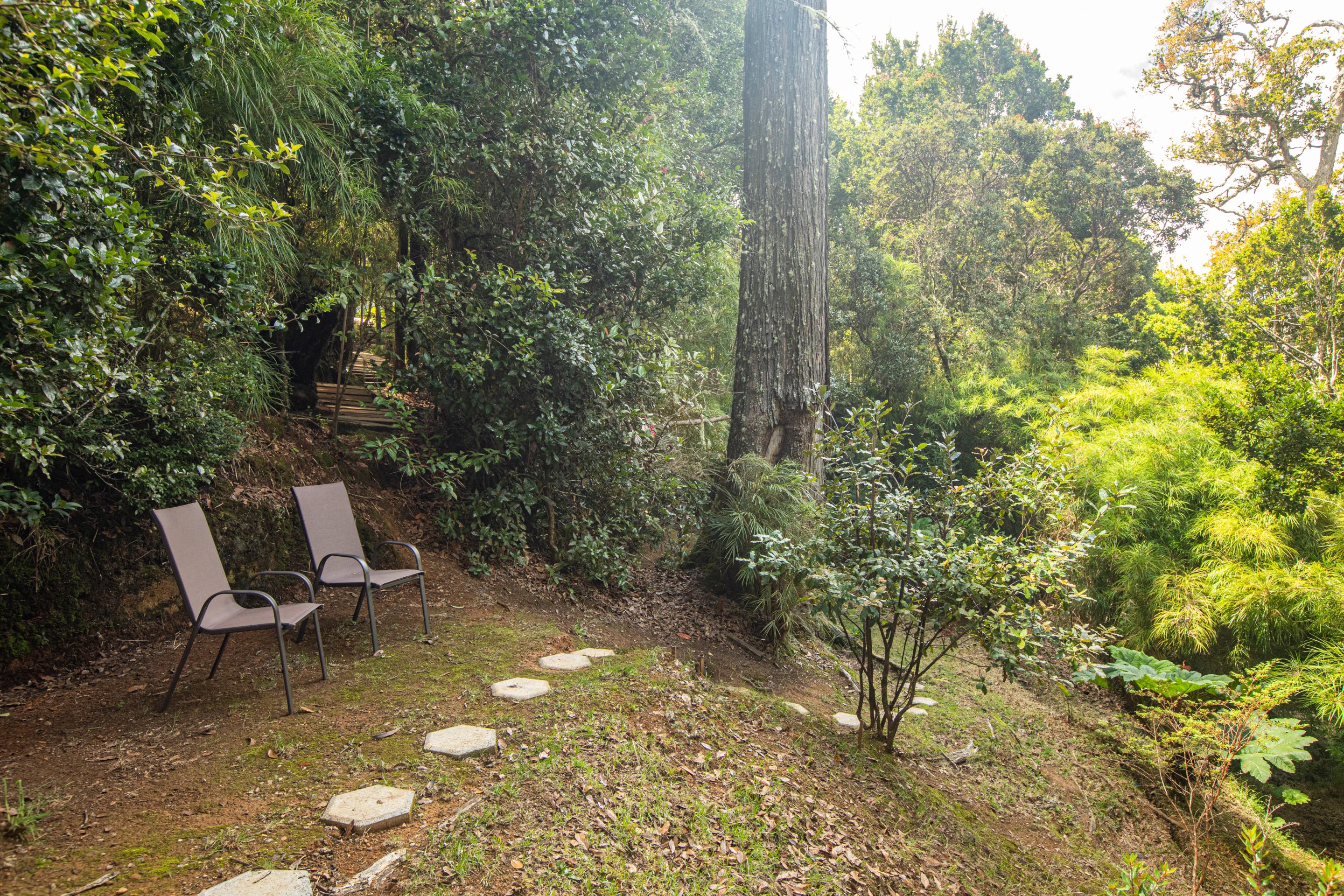 Dantica Cloud Forest Lodge Сан-Херардо-де-Дота Экстерьер фото