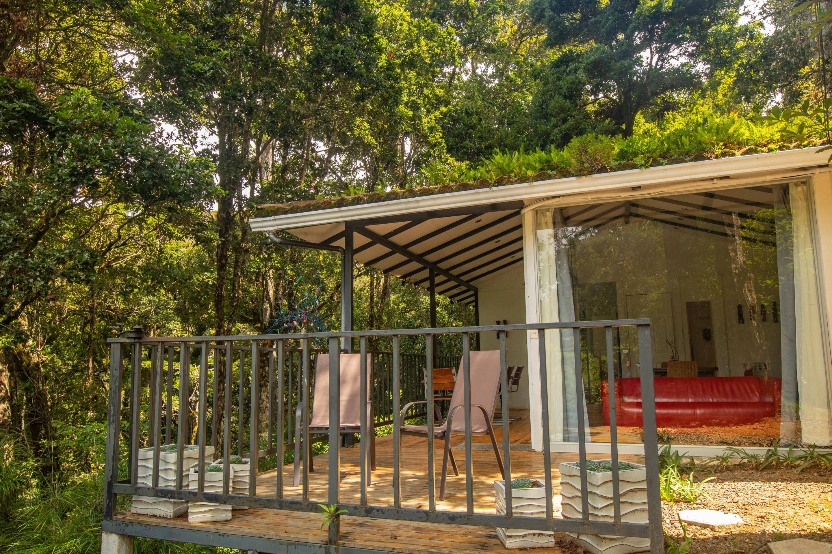 Dantica Cloud Forest Lodge Сан-Херардо-де-Дота Экстерьер фото