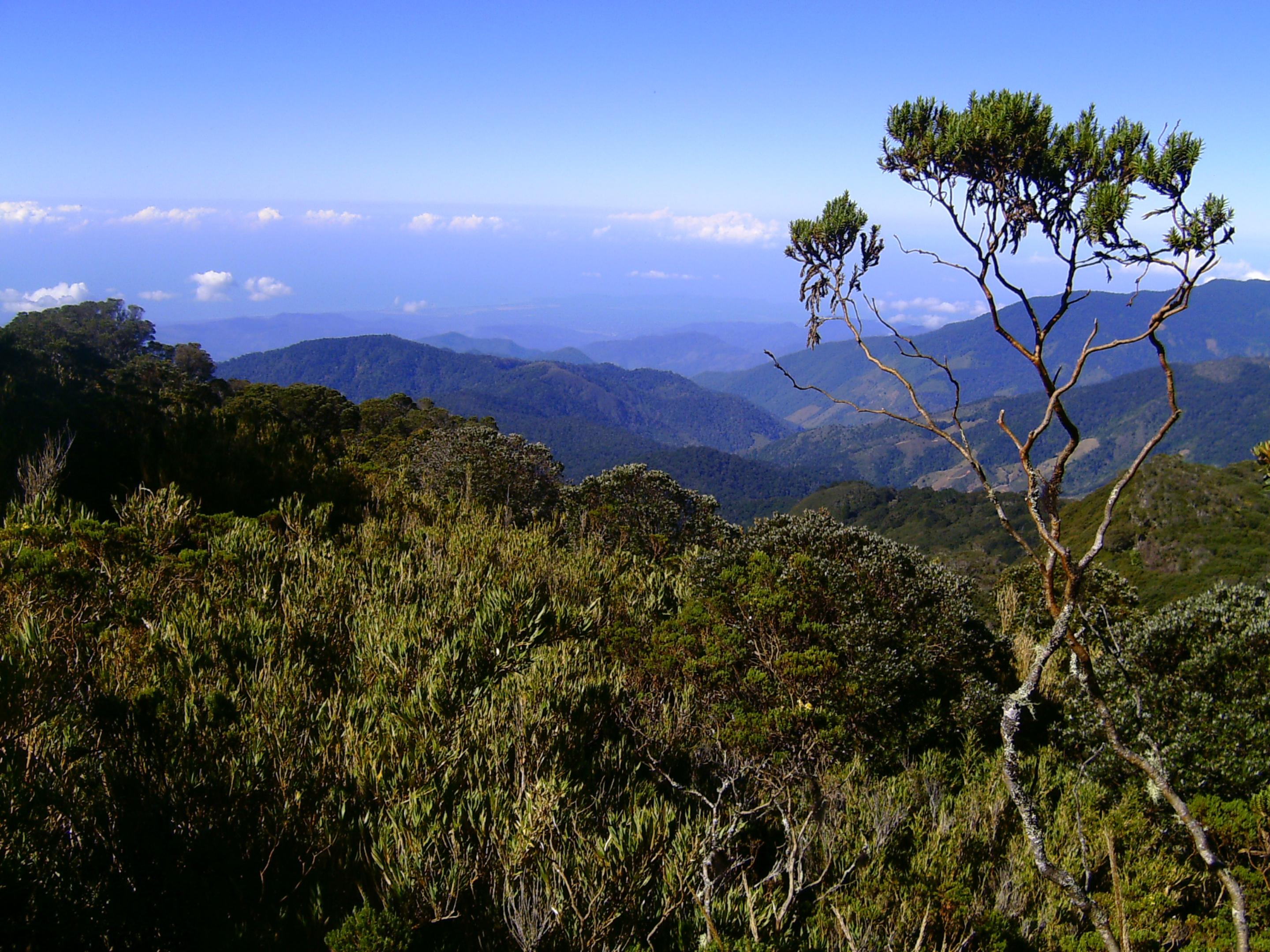 Dantica Cloud Forest Lodge Сан-Херардо-де-Дота Экстерьер фото