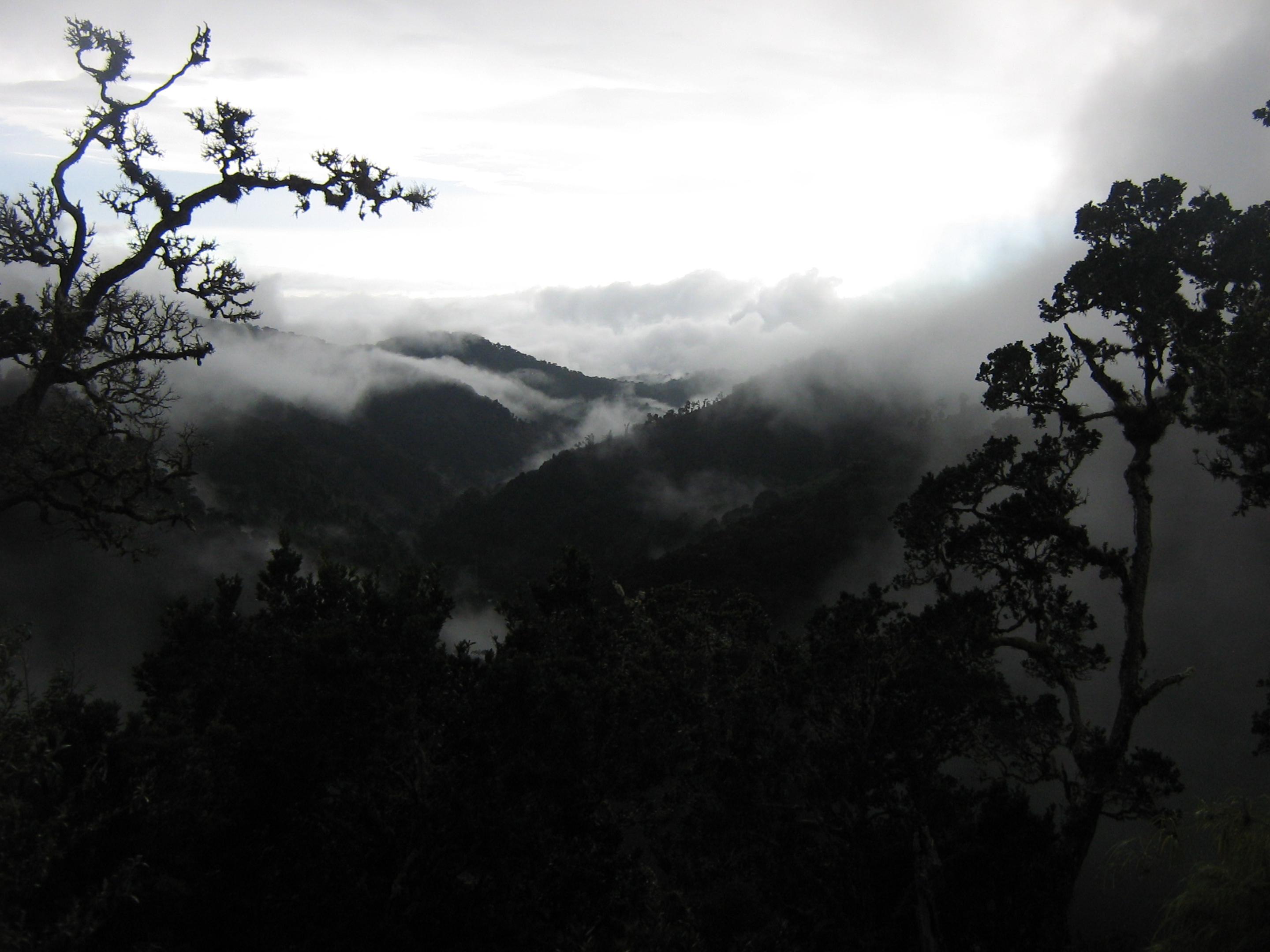 Dantica Cloud Forest Lodge Сан-Херардо-де-Дота Экстерьер фото