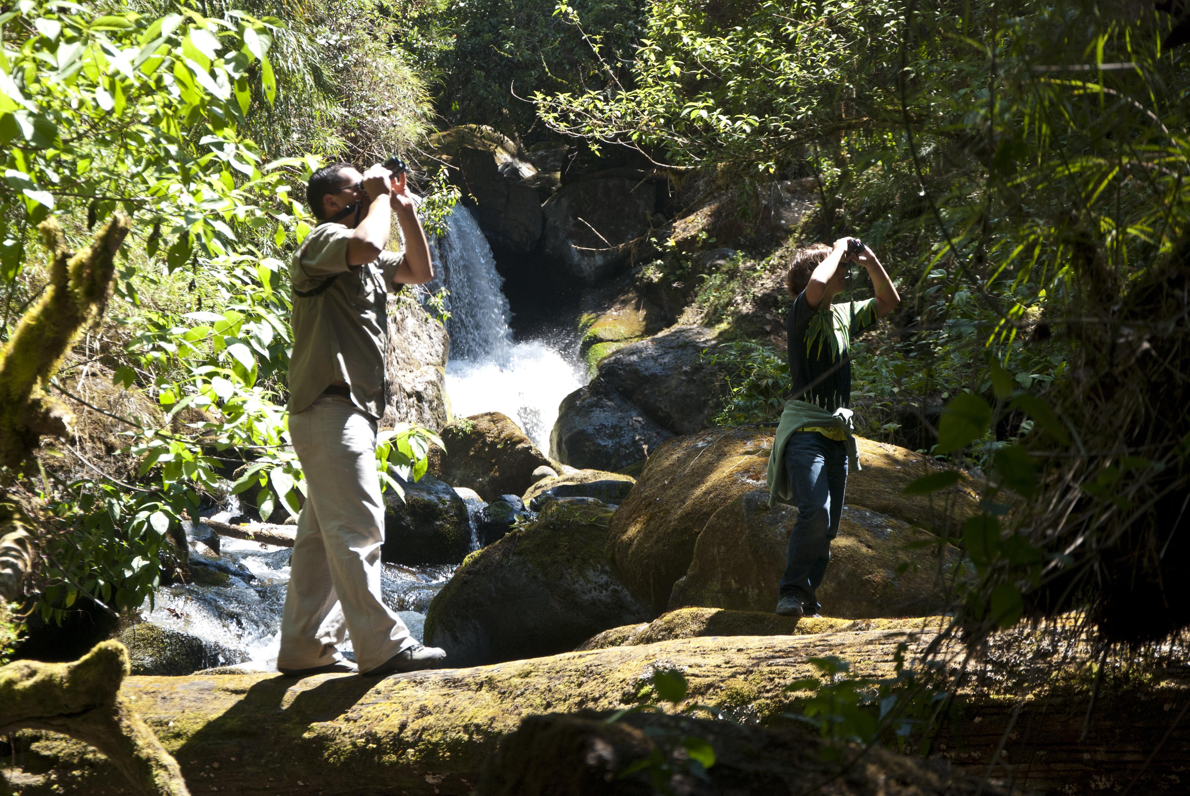 Dantica Cloud Forest Lodge Сан-Херардо-де-Дота Экстерьер фото