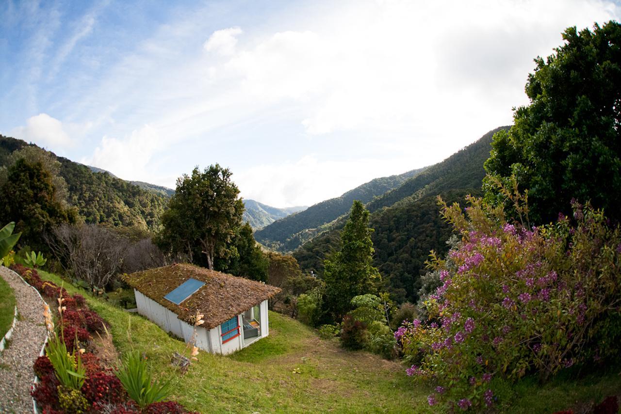 Dantica Cloud Forest Lodge Сан-Херардо-де-Дота Экстерьер фото